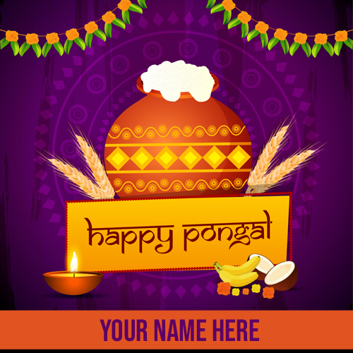 Write Name On Happy Pongal Celebration Picture